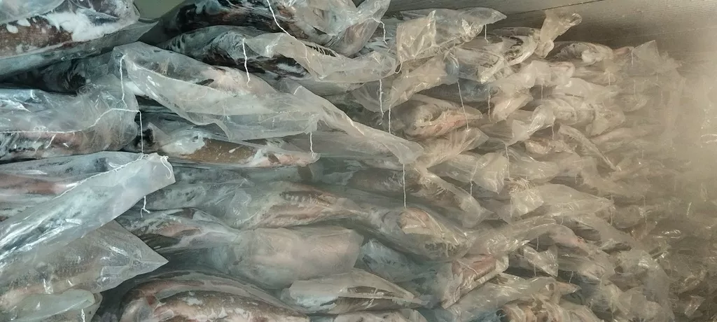 Фотография продукта Северную рыбу оптом. 