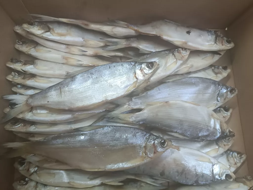 фотография продукта Пелядь 