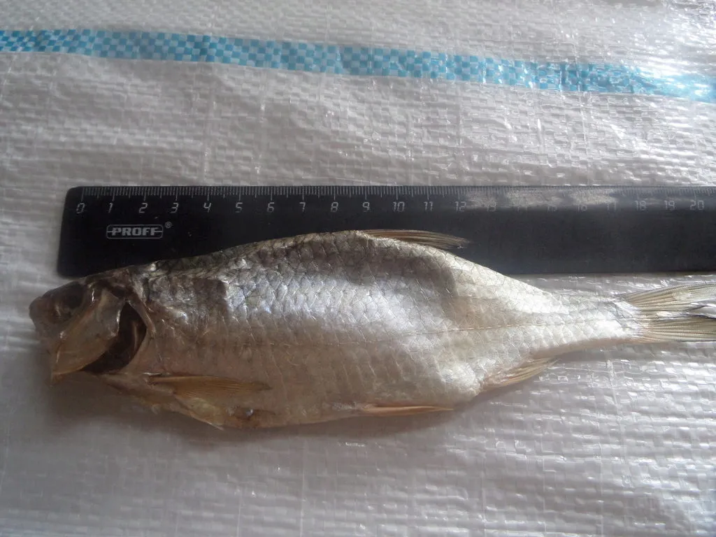фотография продукта Вяленая рыба (вобла, лещ, красноперка)
