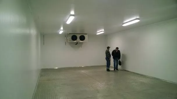 камеры хранения рыбы в Санкт-Петербурге