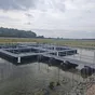 садки для разведения рыбы в Санкт-Петербурге