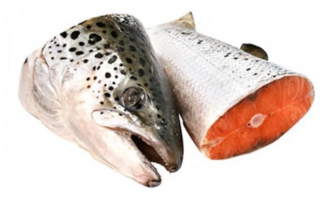 фотография продукта Головы лосося прямого реза!!!!