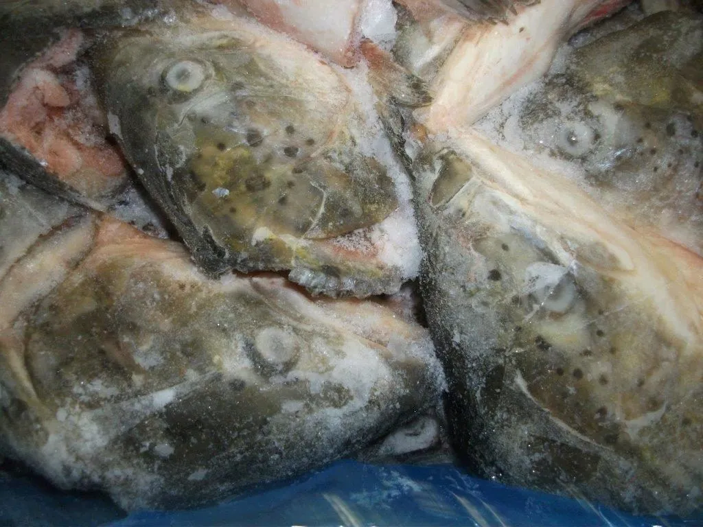 фотография продукта Головы лосося